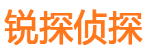 安化婚姻外遇取证